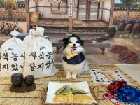 퍼피스랜드지점 | 퍼피스