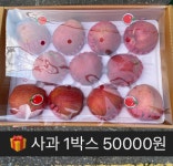 대성농수산도소매 | 대성농산물J