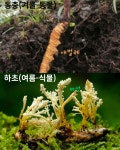 큐사랑현대반송점 | 큐사랑 동탄반송점