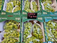 늘푸릇과일