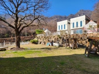 피앤피펜션