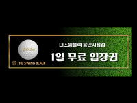 더스윙블랙 프렌즈스크린 용인시청점