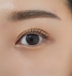 제이렐라