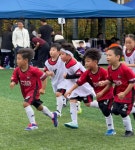 천일F.C축구교실 | FC쾰른축구교실