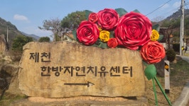 Naver search result photo 2