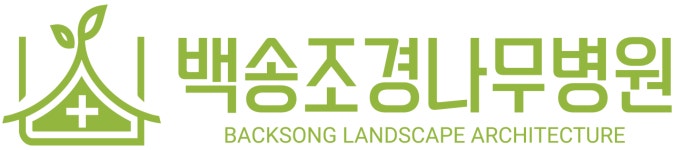 삼청나무병원앤조경 | 백송조경나무병원