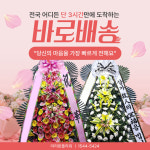 아리랑플라워
