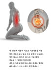 나인맥스핏 | 나인핏피티