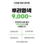 투투헤어염색방 | 더채움헤어염색방