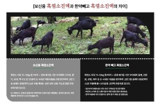 밤골보양식품