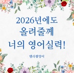 앨리쌤영어