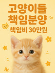 러블리캣독의정부고양이분양강아지분양 | 러블리캣독 의정부고양이분양 강아지분양