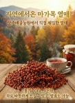 상주배골농원