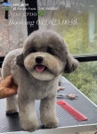스파그루SpaGroo | 스파그루
