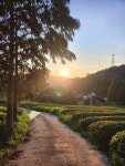 선다원 그린힐