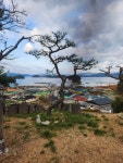 삼일건기태산골재 | 삼일조경
