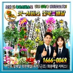 강남꽃배달예스플라워넷 | 굿서비스전국꽃배달