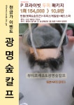 숲 칼프 다사서재점 | 뷰티프레소&숲칼프 광명교육센터점