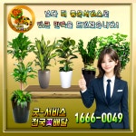 강남꽃배달예스플라워넷 | 굿서비스전국꽃배달