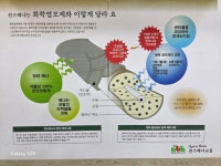 퀸즈헤나전문샵정량점 | 퀸즈헤나 수암점