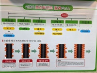 퀸즈헤나전문샵정량점 | 퀸즈헤나 수암점