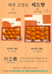 중문카트농수산물 | 중문농수산물직판장