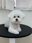 모코모코