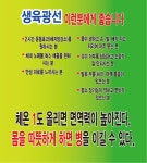 파비스애니원형곡점 | 파비스애니원신양산