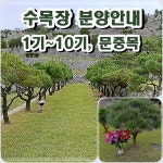 신세계공원묘원인천지사재 | 신세계공원묘원