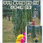신세계공원묘원인천지사재 | 신세계공원묘원
