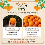 정직한윤씨네농장 | 양씨네농장