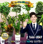 유송플라워;69플라워 | 굿서비스전국꽃배달