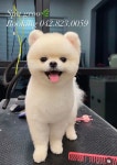 스파그루SpaGroo | 스파그루