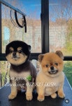 스파그루SpaGroo | 스파그루