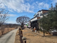 카페모리&만세통닭 | 모리카페