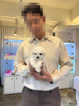 미로동물애견센터 | 펫퍼스트 24시 안산점 강아지 고양이