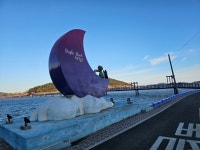 주식회사 세한국제여행사 | 세중여행사