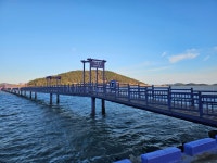 주식회사 세한국제여행사 | 세중여행사