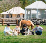 기수식당스타빌 | 스타빌
