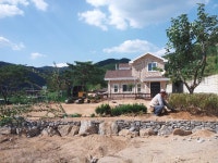 송유산림조경 | 송림조경