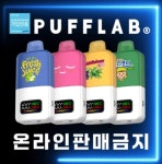 동대문전자담배홀릭 밀리오레점 | 홀릭전자담배 인천점