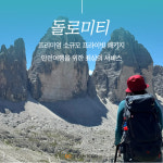 (주)다드림 여행사 | 두드림여행사