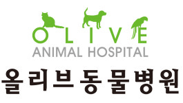 올리브동물병원