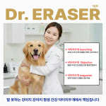 닥터.지동물병원 | 닥터지우개