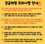 하윤이네미깡밭 | 달달미깡감귤밭