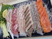 인제맛집 세진이네원통점 | 세진이네회포차