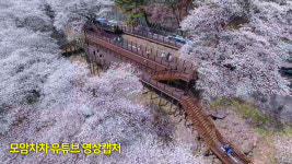 모암차차 스테이