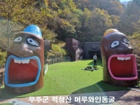 (주)인하그린씨앤씨 | 한그린산업
