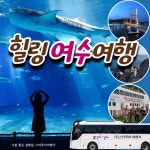 스타투어여행사