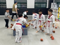국가대표준태권도장